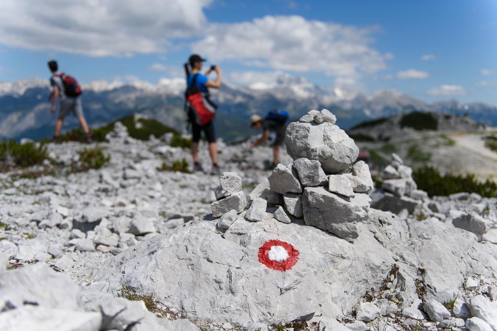 Penzion Vila Bistrica Bohinjska Bistrica Esterno foto