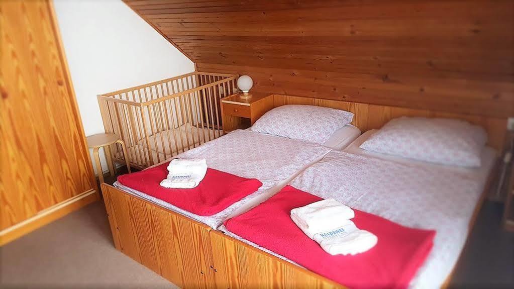 Penzion Vila Bistrica Bohinjska Bistrica Esterno foto